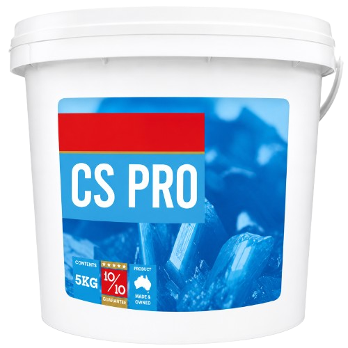 CS Pro
